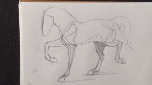 Jessica Henry Gray Horse Drawing
