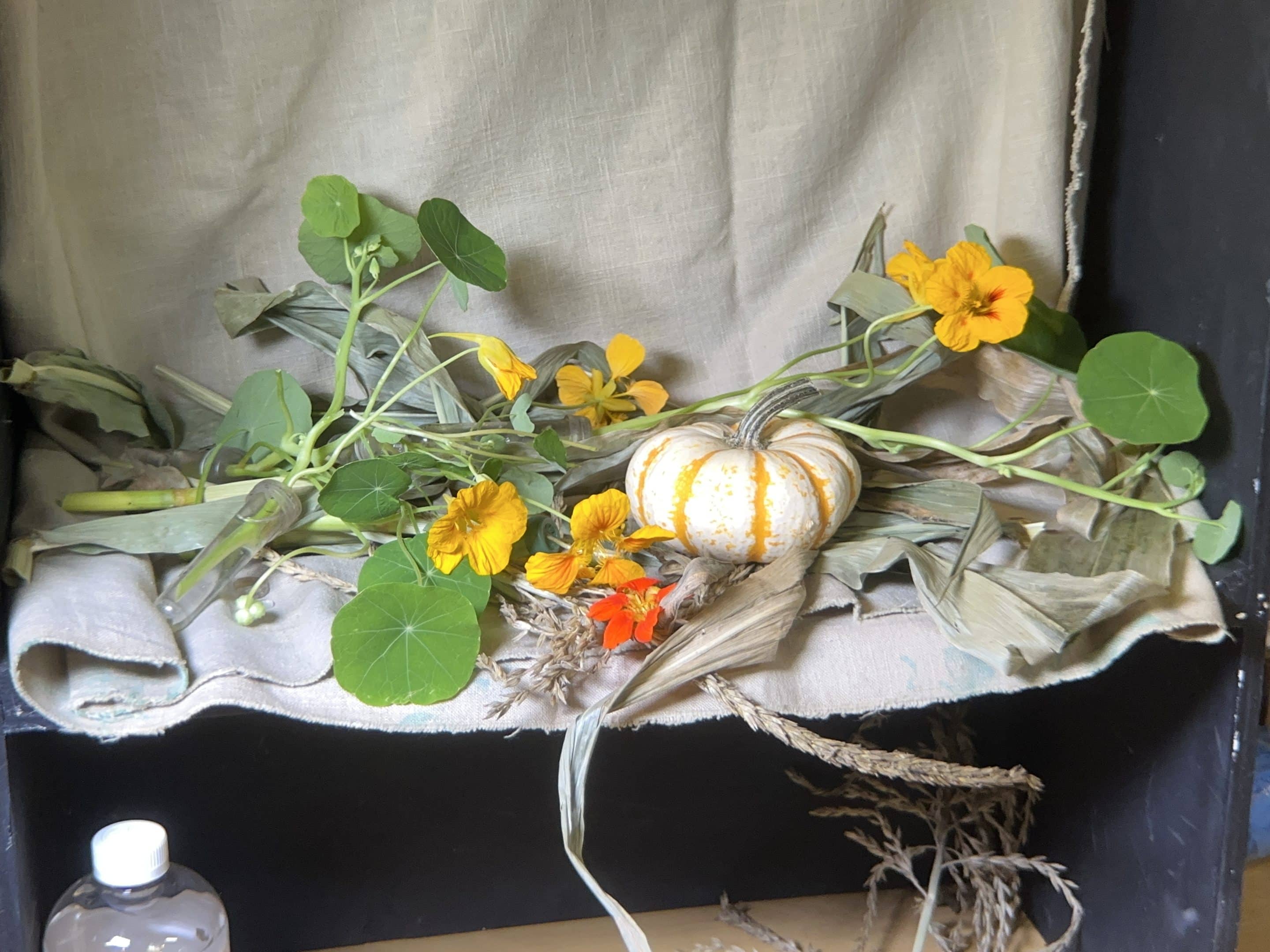 Kathy Anderson oil painting