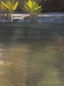 LHS-Fourth Layer of Water: What Lies on Top (part 1)