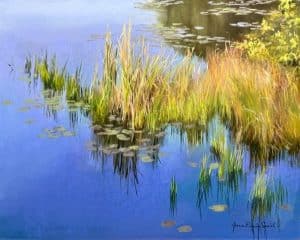 JRS-Live Demo: Pond Reflections