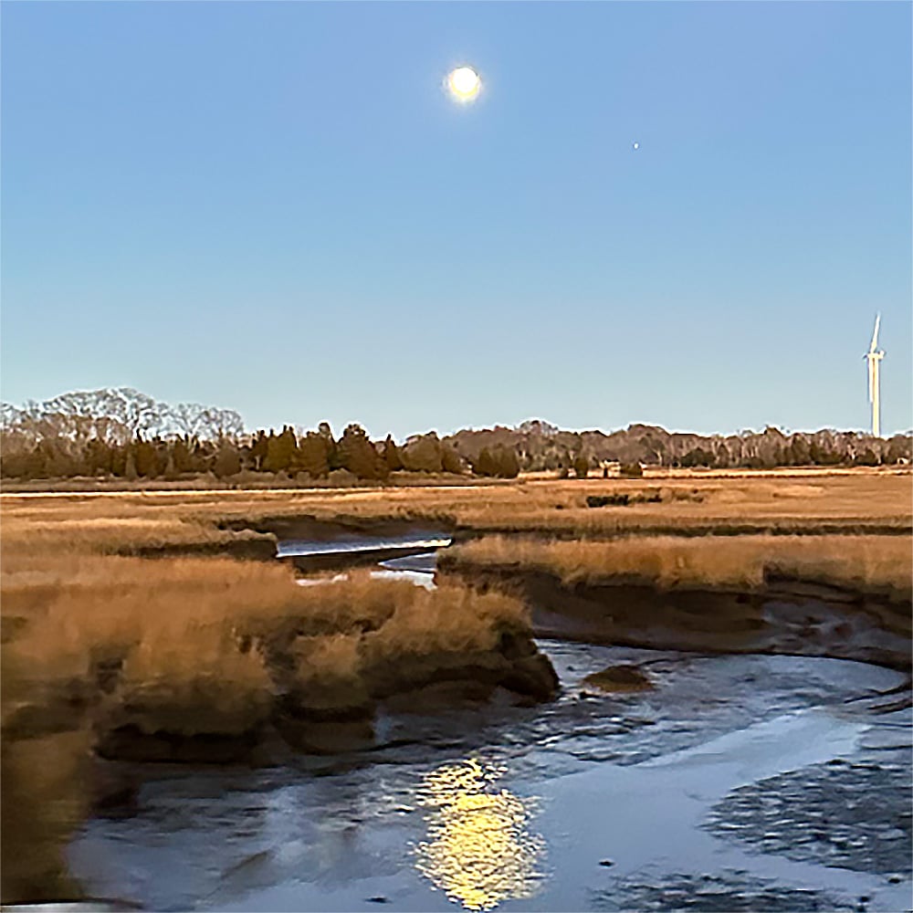 Liz Haywood-Sullivan pastel painting reference photo
