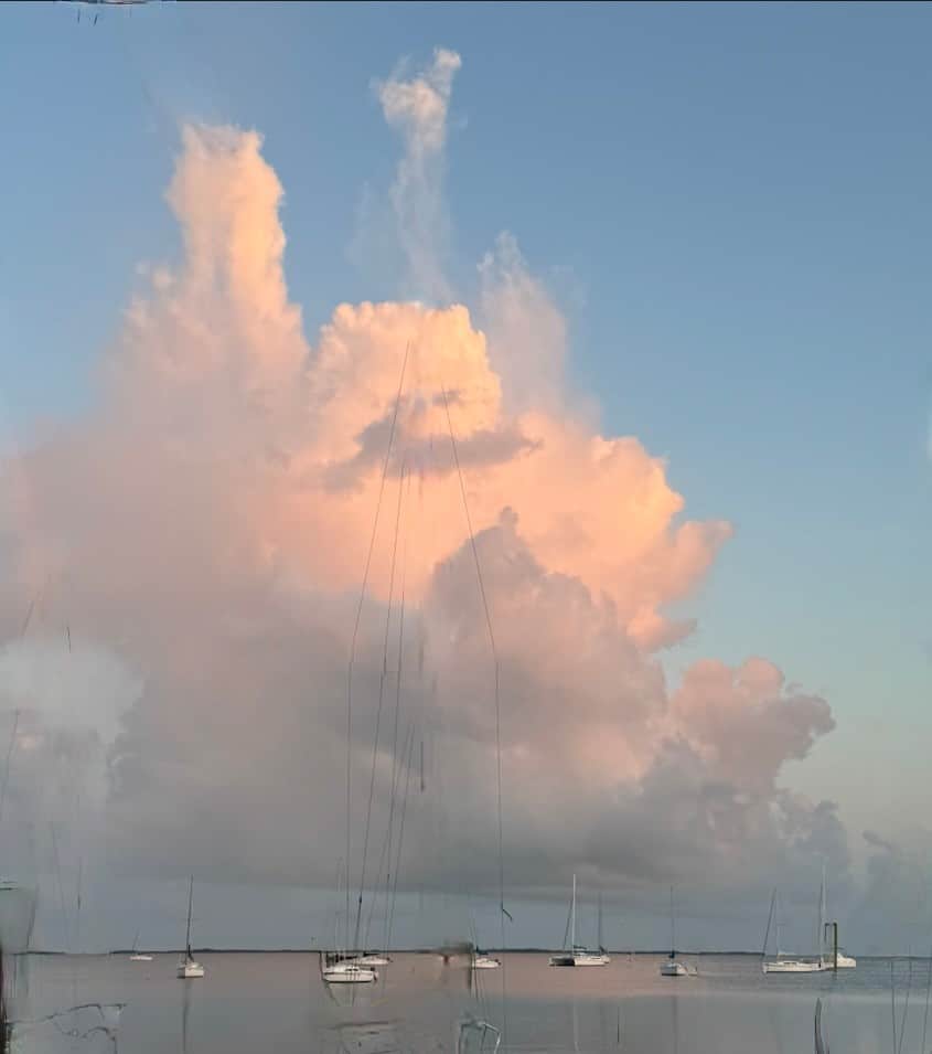 Jeanne Rosier Smith live pastel demo reference photo