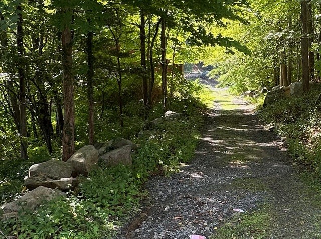 Jeanne Rosier Smith pastel painting