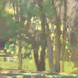 LHS-Are your Plein Air Paintings too Dark?